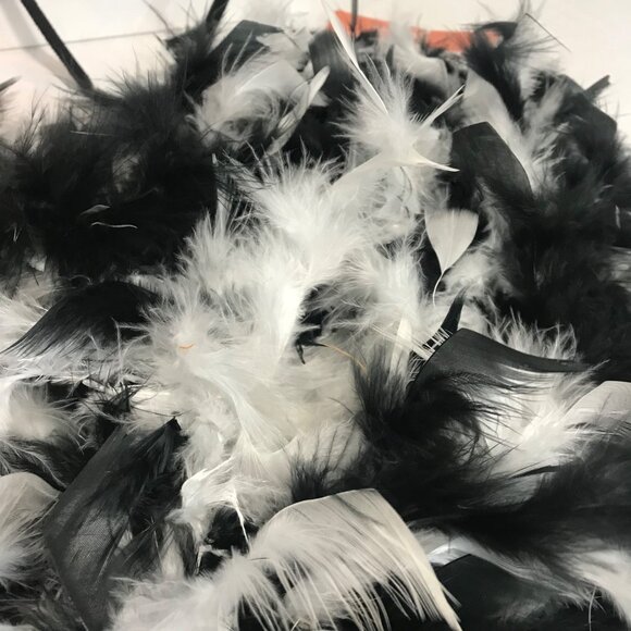 Halloween Pumpkin and Bat Headbands Feather Boas 60" Pumpkin Paper Decorations - Picture 4 of 11